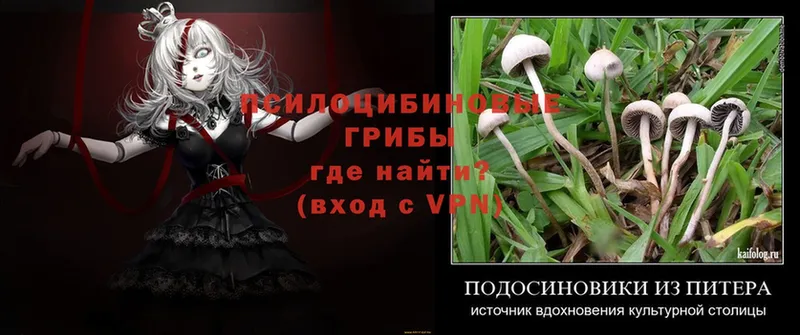 Галлюциногенные грибы Magic Shrooms  Острогожск 